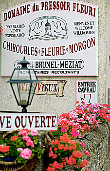 标识,花,博若莱葡萄酒,酒乡,罗纳河谷,法国