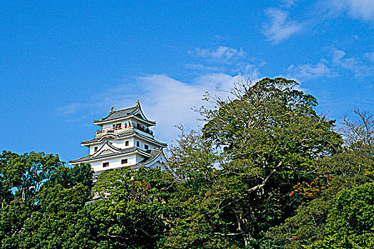 日本,九州,城堡