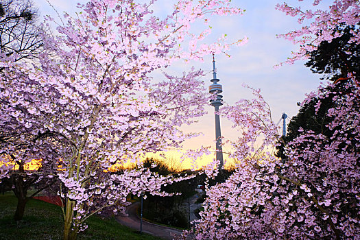 munich慕尼黑olympia,park