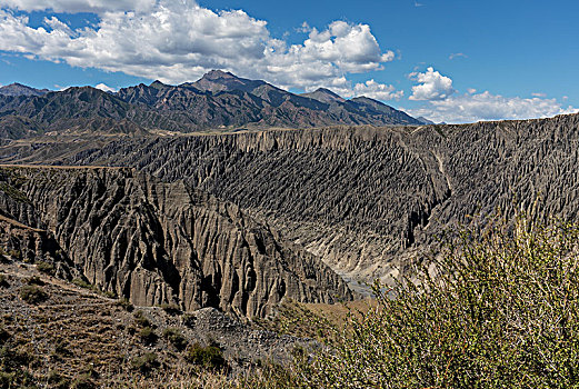 峡谷,独山子大峡谷,地貌奇观