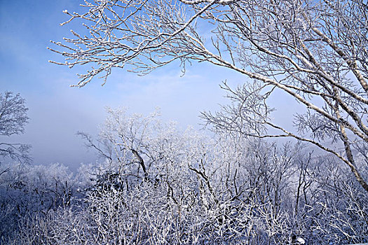 中国雪乡,羊草山