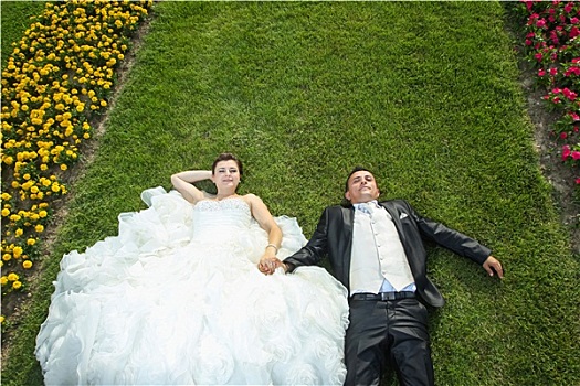 新郎,新娘,躺着,草坪,花