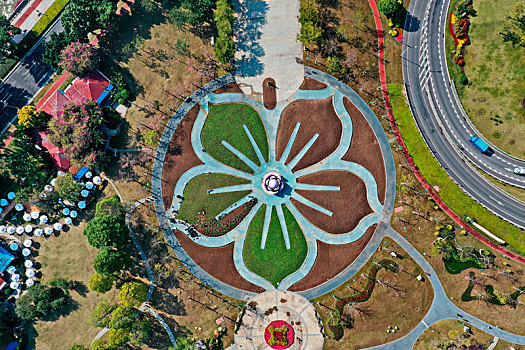 广州巨型花坛棉花图案