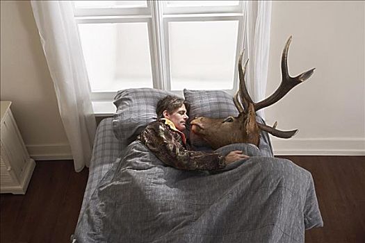 猎捕,睡觉,鹿头
