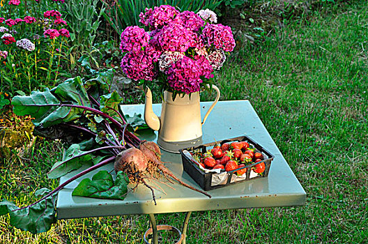甜菜根,草莓,篮子,花