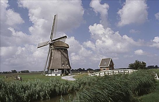 风车,地点,荷兰