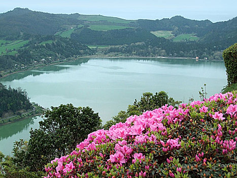 湖岸,风景,赛特港