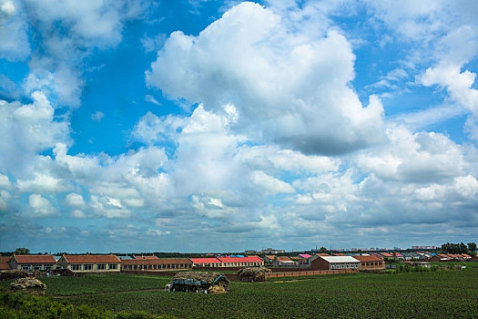 绚丽天空辽阔大地