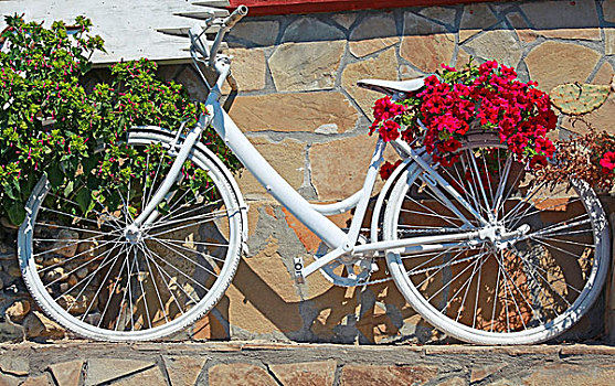 白色,旧式,自行车,装饰,红花,站立,靠近,老,石墙