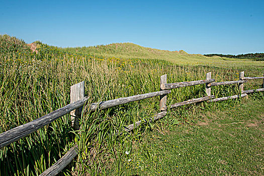 栅栏,小路,绿色,山墙,爱德华王子岛,加拿大