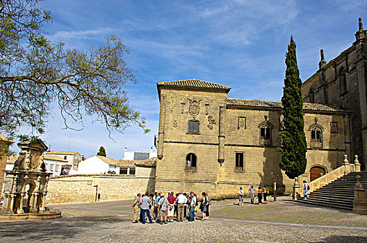 喷泉,大教堂,16世纪,巴埃萨,省,安达卢西亚,西班牙,欧洲