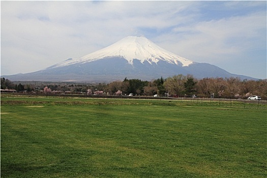 山,富士山,樱花