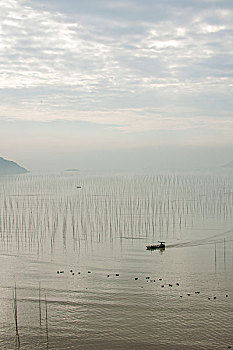 福建宁德市霞浦县北岐村滩涂早晨行驶的渔船