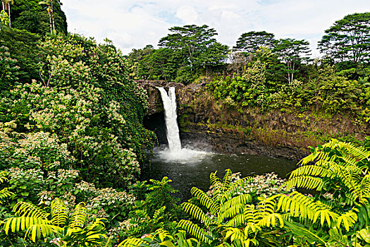 彩虹瀑布,希洛,夏威夷,美国