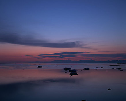 黎明,冰,漂浮,海洋