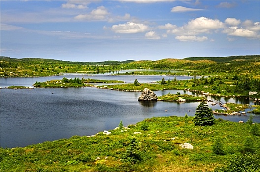 漂亮,湖,岸边,纽芬兰