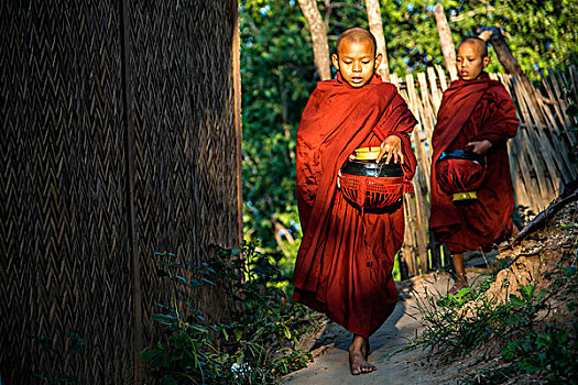 佛教,新信徒,请求,器具,早晨,旅游,波芭山,蒲甘,曼德勒省,缅甸,亚洲