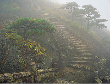 楼梯,雾,黄山,安徽,中国