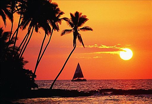 夏威夷,夏威夷大岛,柯哈拉,橙色,日落,棕榈树,帆船,火炬