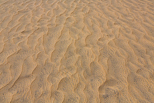 沙子,轨迹,沙丘,大卡纳利岛,西班牙,欧洲