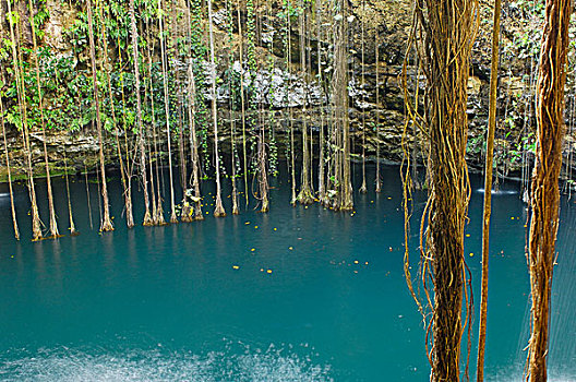蓝色,沼穴,洞状陷穴,靠近,玛雅,遗址,马雅里维拉,尤卡坦半岛,墨西哥