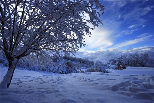 法国,上阿尔卑斯省,积雪,景色
