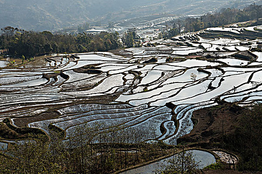 云南,元阳梯田,徐学哲摄影,尼康,年,月