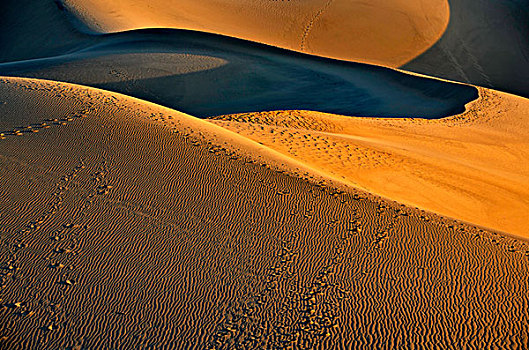 马斯奎特沙丘,晨光,大礼帽,死亡谷国家公园,莫哈维沙漠,加利福尼亚,美国