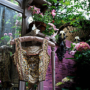 背心,挂衣架,正面,粉色,墙壁,花盆
