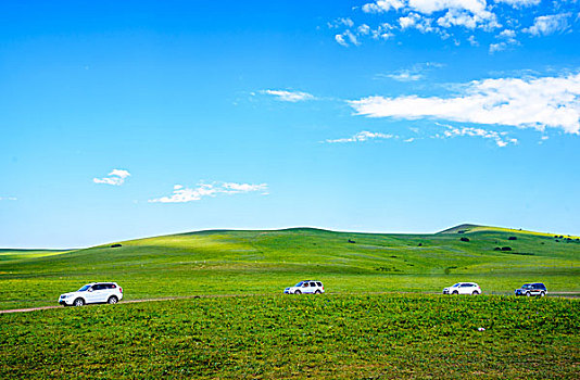 汽车穿过绿色的大草原