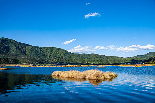 云南省腾冲北海湿地