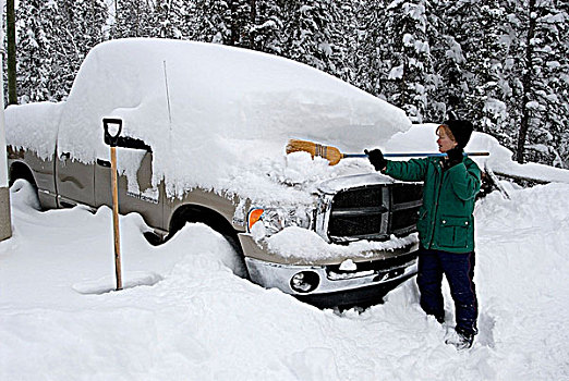 女人,刷,雪,卡车,育空地区,加拿大