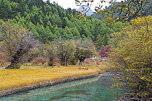 四川稻城亚丁秋景