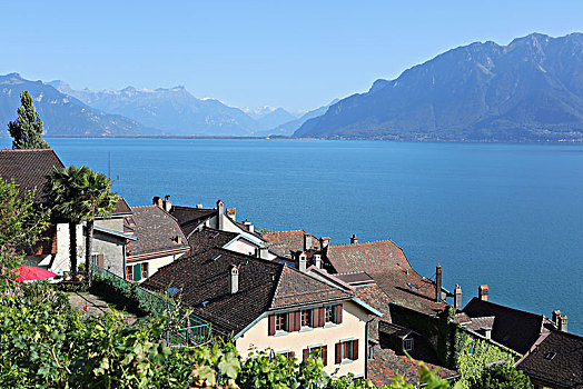 城市风光,远眺,日内瓦湖,沃州,西部,瑞士