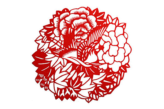 傳統,牡丹,白色