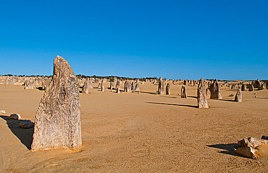 尖峰石阵,著名,岩石构造,南邦国家公园,西澳大利亚州