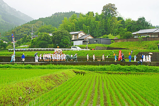 种植,节日,宫崎,日本