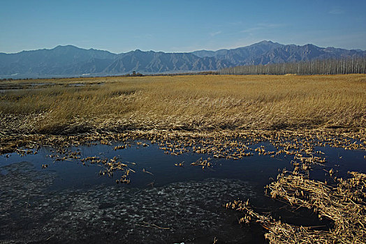 野鸭湖