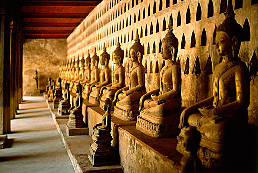 老挝,万象,排,石头,佛像,大厅