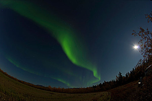 螺旋,北极光,极地,绿色,满月,靠近,育空地区,加拿大