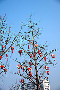 2015春节期间重庆南岸区江南大道路边树上悬挂的风鼓