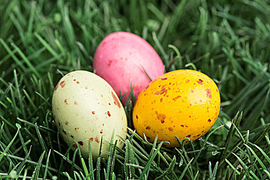三个,小,复活节彩蛋,草