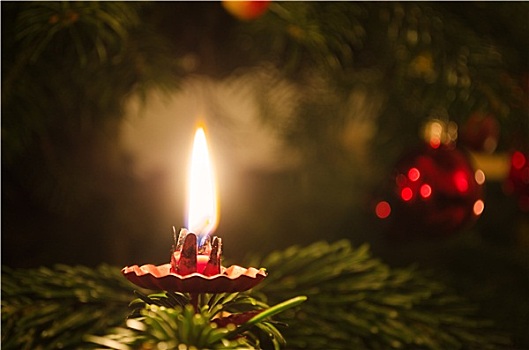 蜡烛,圣诞树