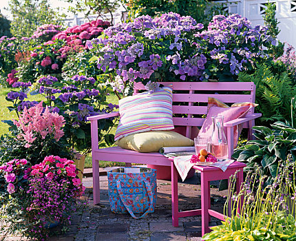 一半,遮蔽,平台,八仙花属,粉色,木制长椅