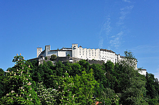 霍亨萨尔斯堡城堡,局部,城堡,牢固,萨尔茨堡,萨尔茨堡省,奥地利,欧洲