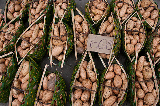 土豆,出售,市场,岛屿,省,瓦努阿图,大洋洲