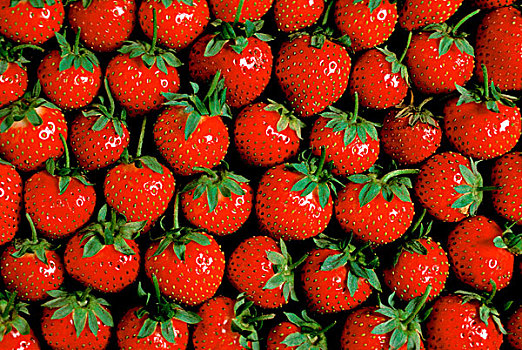 草莓,全画幅