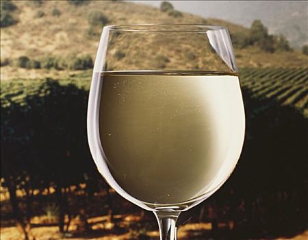 白葡萄酒,玻璃,正面,夏天,葡萄园