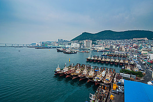 俯瞰,上方,港口,打漁船隊(duì),釜山,韓國