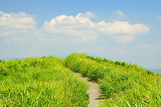 山,小路